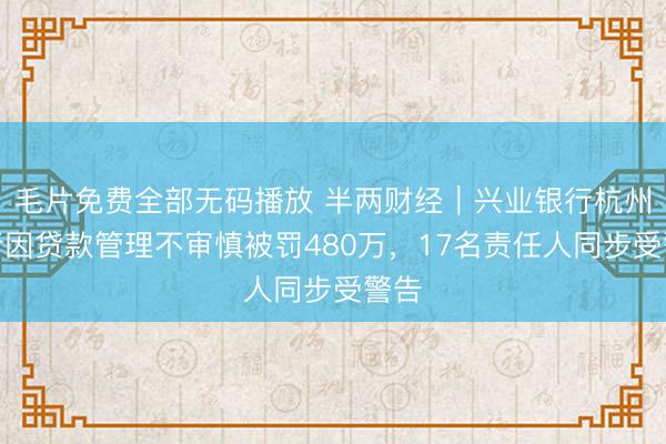 毛片免费全部无码播放 半两财经｜兴业银行杭州分行因贷款管理不审慎被罚480万，17名责任人同步受警告