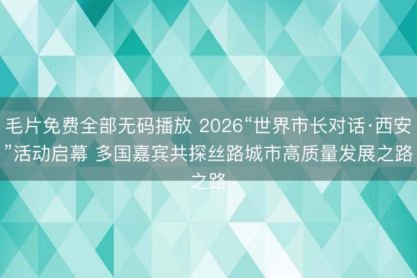 毛片免费全部无码播放 2026“世界市长对话·西安”活动启幕 多国嘉宾共探丝路城市高质量发展之路