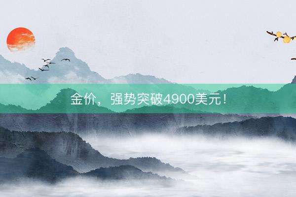 金价，强势突破4900美元！