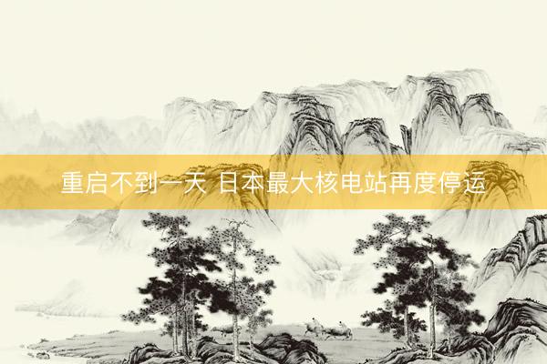重启不到一天 日本最大核电站再度停运