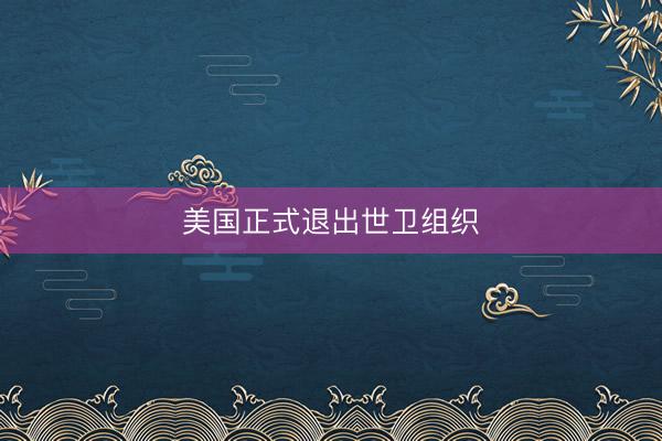 美国正式退出世卫组织