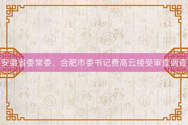 安徽省委常委、合肥市委书记费高云接受审查调查