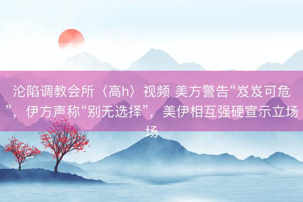 沦陷调教会所〈高h〉视频 美方警告“岌岌可危”，伊方声称“别无选择”，美伊相互强硬宣示立场
