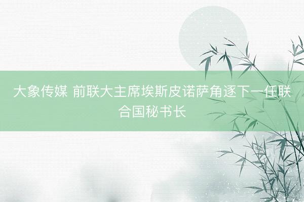 大象传媒 前联大主席埃斯皮诺萨角逐下一任联合国秘书长