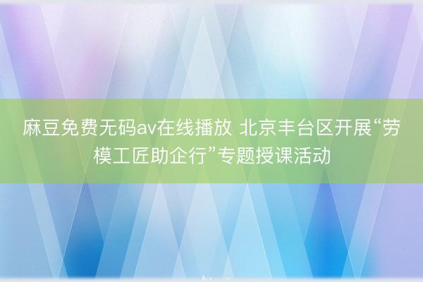 麻豆免费无码av在线播放 北京丰台区开展“劳模工匠助企行”专题授课活动