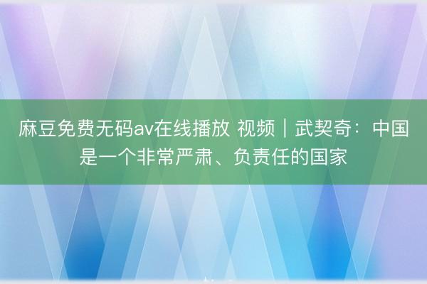 麻豆免费无码av在线播放 视频｜武契奇：中国是一个非常严肃、负责任的国家