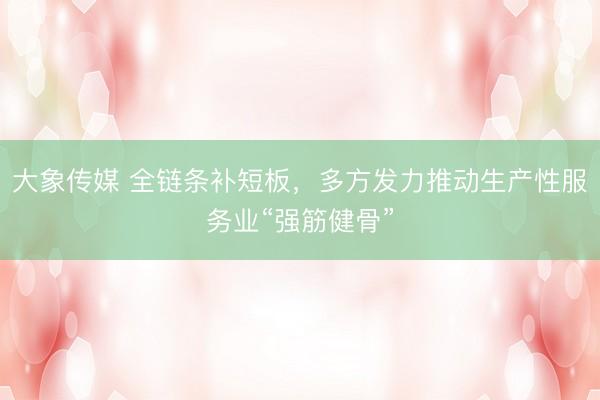 大象传媒 全链条补短板，多方发力推动生产性服务业“强筋健骨”