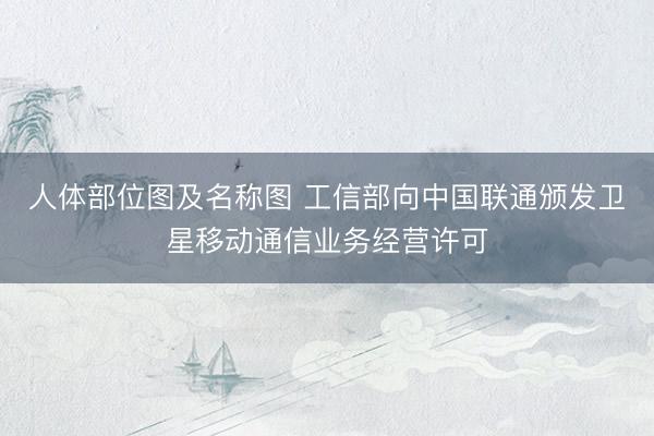 人体部位图及名称图 工信部向中国联通颁发卫星移动通信业务经营许可