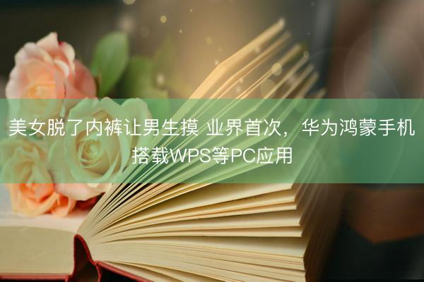 美女脱了内裤让男生摸 业界首次，华为鸿蒙手机搭载WPS等PC应用