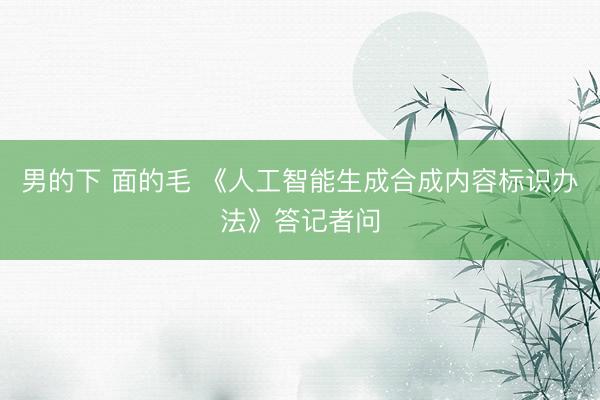 男的下 面的毛 《人工智能生成合成内容标识办法》答记者问
