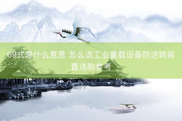 69式是什么意思 怎么选工业重载设备防逆转装置选购参考