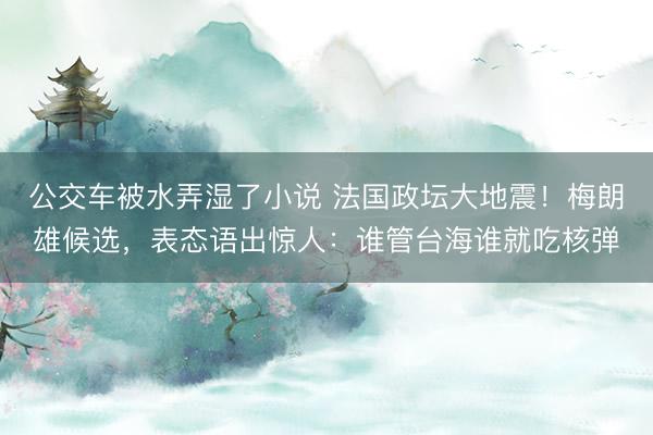 公交车被水弄湿了小说 法国政坛大地震！梅朗雄候选，表态语出惊人：谁管台海谁就吃核弹