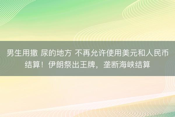 男生用撒 尿的地方 不再允许使用美元和人民币结算！伊朗祭出王牌，垄断海峡结算
