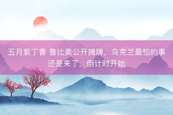 五月紫丁香 鲁比奥公开摊牌，乌克兰最怕的事还是来了，倒计时开始
