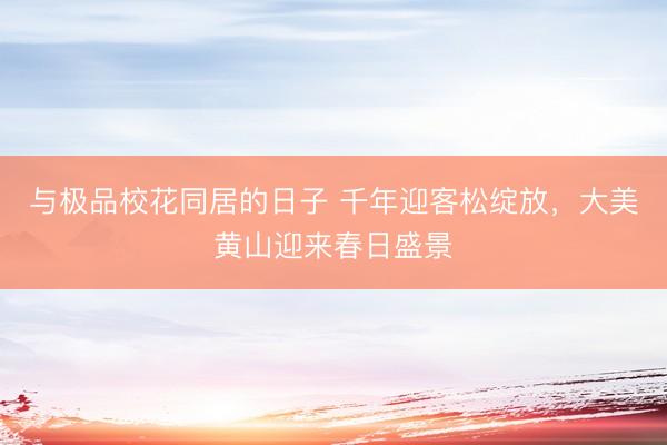与极品校花同居的日子 千年迎客松绽放，大美黄山迎来春日盛景