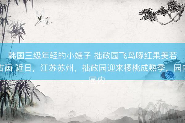 韩国三级年轻的小婊孑 拙政园飞鸟啄红果美若古画 近日，江苏苏州，拙政园迎来樱桃成熟季，园内