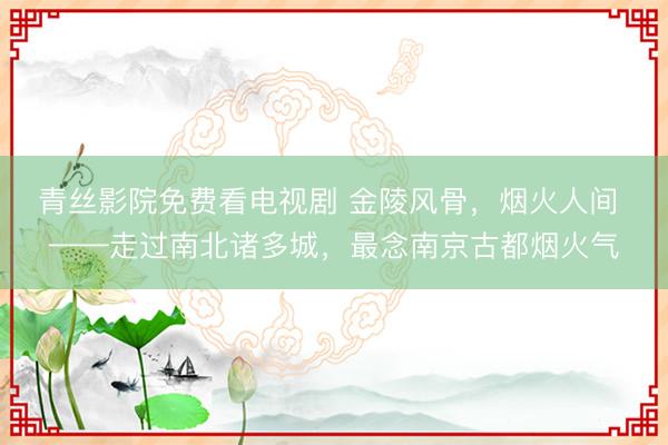 青丝影院免费看电视剧 金陵风骨，烟火人间 ——走过南北诸多城，最念南京古都烟火气