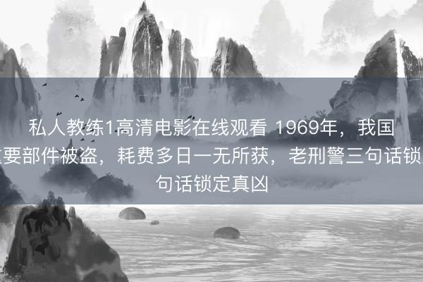 私人教练1高清电影在线观看 1969年，我国氢弹重要部件被盗，耗费多日一无所获，老刑警三句话锁定真凶