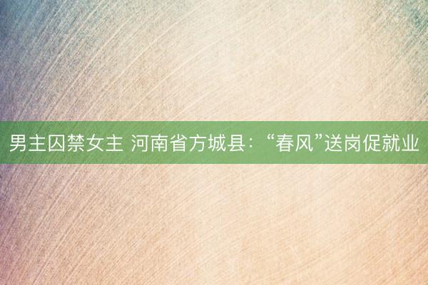 男主囚禁女主 河南省方城县：“春风”送岗促就业