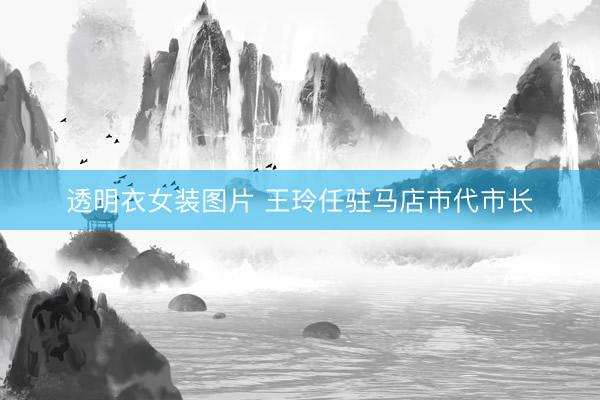 透明衣女装图片 王玲任驻马店市代市长
