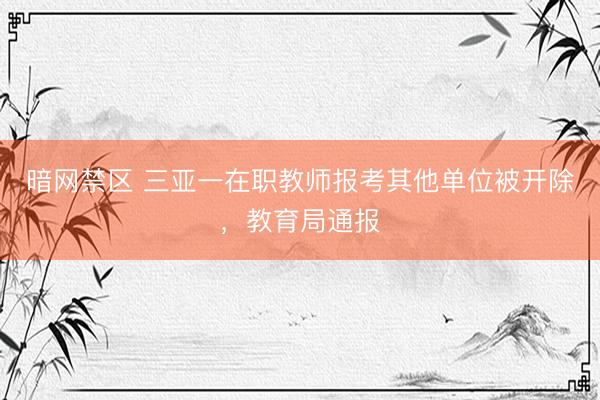 暗网禁区 三亚一在职教师报考其他单位被开除，教育局通报