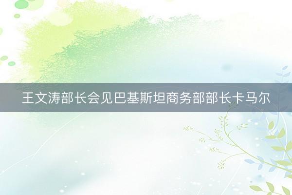 王文涛部长会见巴基斯坦商务部部长卡马尔