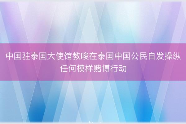中国驻泰国大使馆教唆在泰国中国公民自发操纵任何模样赌博行动