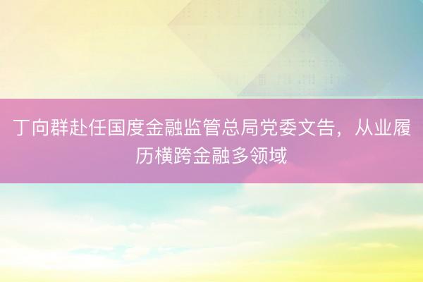 丁向群赴任国度金融监管总局党委文告，从业履历横跨金融多领域
