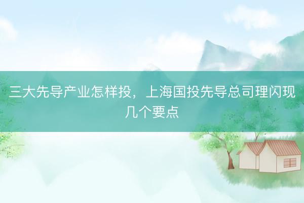 三大先导产业怎样投，上海国投先导总司理闪现几个要点