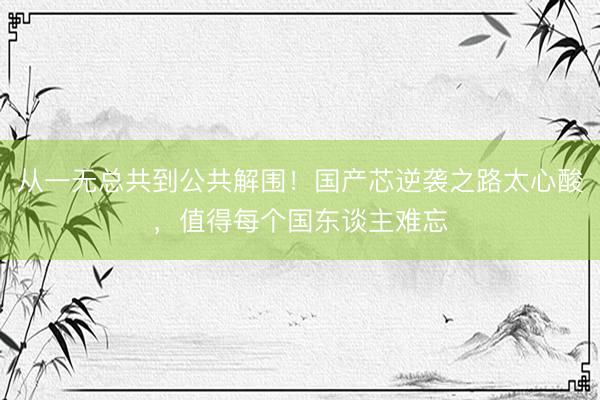 从一无总共到公共解围！国产芯逆袭之路太心酸，值得每个国东谈主难忘