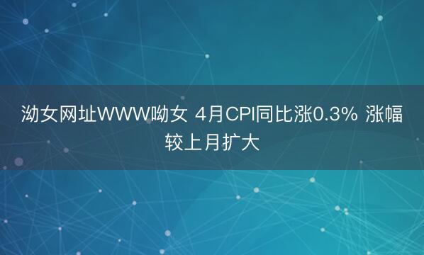 泑女网址WWW呦女 4月CPI同比涨0.3% 涨幅较上月扩大