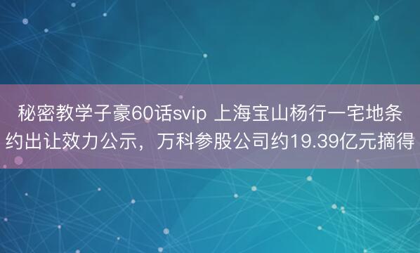 秘密教学子豪60话svip 上海宝山杨行一宅地条约出让效力公示，万科参股公司约19.39亿元摘得