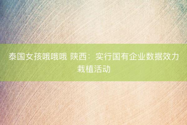 泰国女孩哦哦哦 陕西：实行国有企业数据效力栽植活动