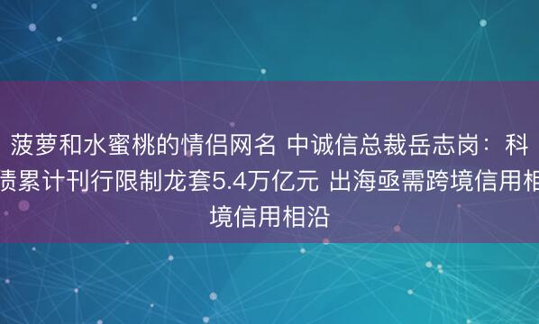 菠萝和水蜜桃的情侣网名 中诚信总裁岳志岗：科创债累计刊行限制龙套5.4万亿元 出海亟需跨境信用相沿