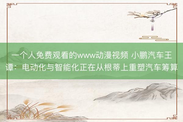 一个人免费观看的www动漫视频 小鹏汽车王谭：电动化与智能化正在从根蒂上重塑汽车筹算