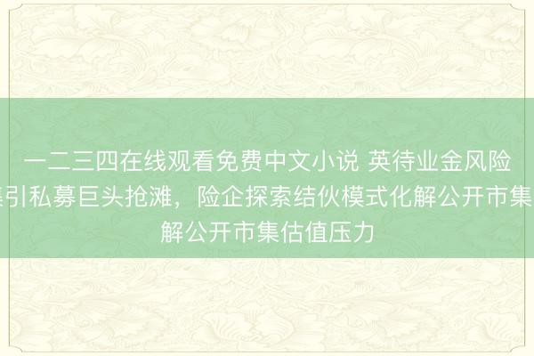 一二三四在线观看免费中文小说 英待业金风险转换市集引私募巨头抢滩，险企探索结伙模式化解公开市集估值压力