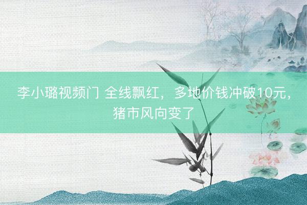 李小璐视频门 全线飘红，多地价钱冲破10元，猪市风向变了