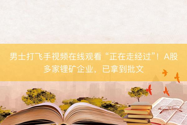 男士打飞手视频在线观看 “正在走经过”！A股多家锂矿企业，已拿到批文