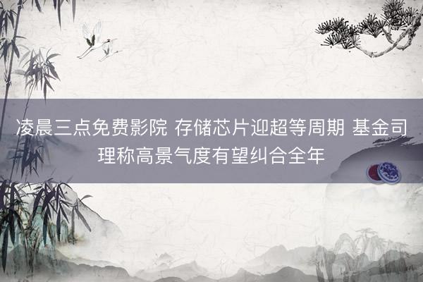 凌晨三点免费影院 存储芯片迎超等周期 基金司理称高景气度有望纠合全年