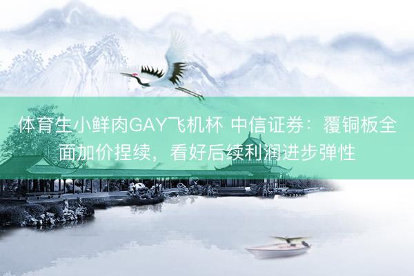 体育生小鲜肉GAY飞机杯 中信证券：覆铜板全面加价捏续，看好后续利润进步弹性