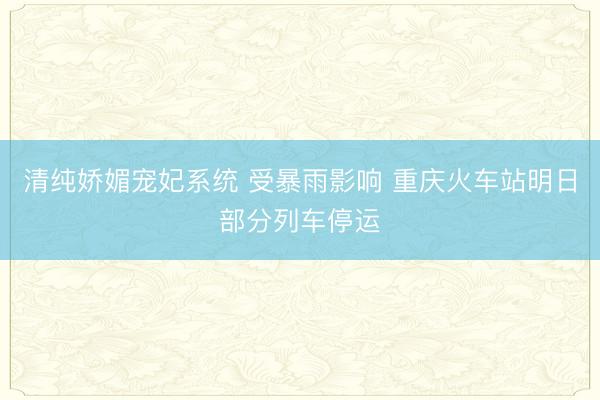 清纯娇媚宠妃系统 受暴雨影响 重庆火车站明日部分列车停运