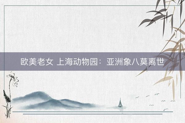欧美老女 上海动物园：亚洲象八莫离世