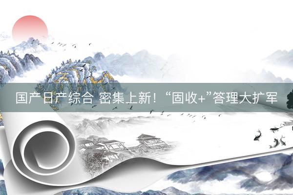 国产日产综合 密集上新!“固收+”答理大扩军
