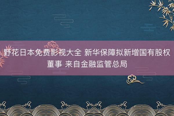 野花日本免费影视大全 新华保障拟新增国有股权董事 来自金融监管总局