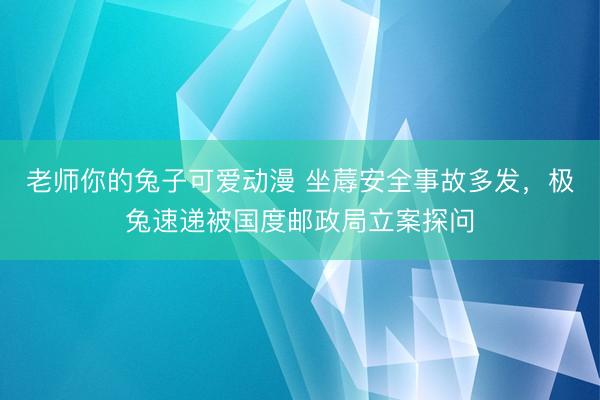 老师你的兔子可爱动漫 坐蓐安全事故多发，极兔速递被国度邮政局立案探问