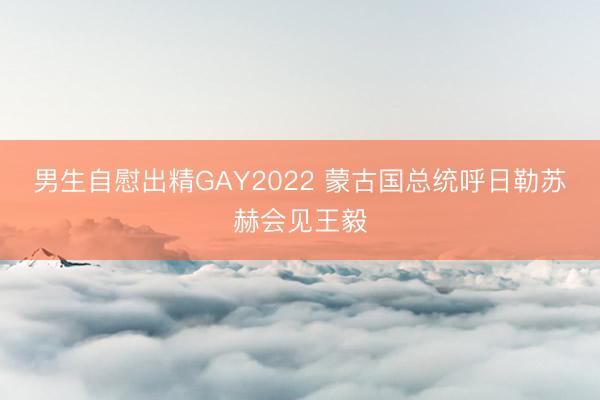 男生自慰出精GAY2022 蒙古国总统呼日勒苏赫会见王毅