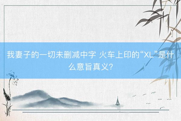 我妻子的一切未删减中字 火车上印的“XL”是什么意旨真义？