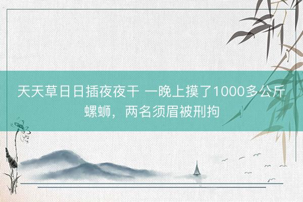 天天草日日插夜夜干 一晚上摸了1000多公斤螺蛳，两名须眉被刑拘