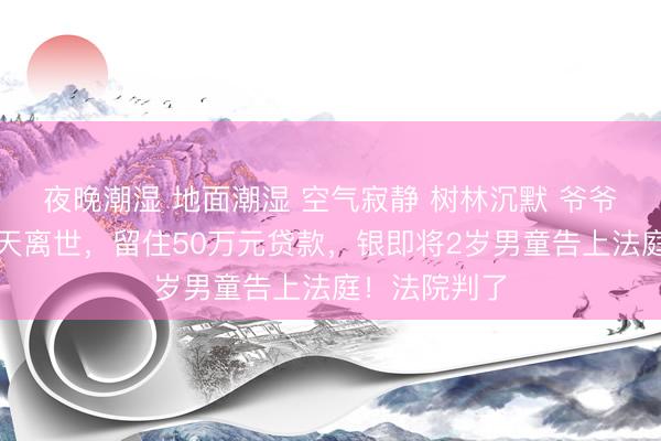 夜晚潮湿 地面潮湿 空气寂静 树林沉默 爷爷和爸爸统一天离世,留住50万元贷款,银即将2岁男童告上法庭!法院判了