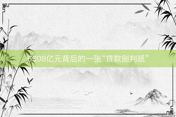 6308亿元背后的一张“贷款剖判纸”